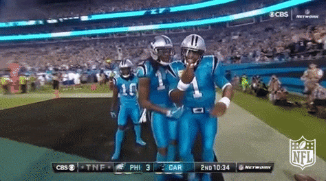 Carolina Panthers In The Touchdown Area GIF