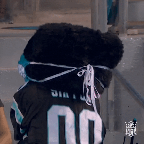Carolina Panthers Mascot Dancing GIF