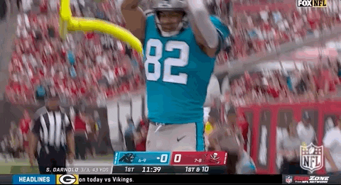 Carolina Panthers Tommy Tremble Touchdown GIF