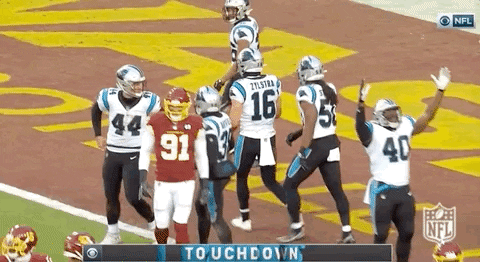 Carolina Panthers Touchdown Celebration GIF
