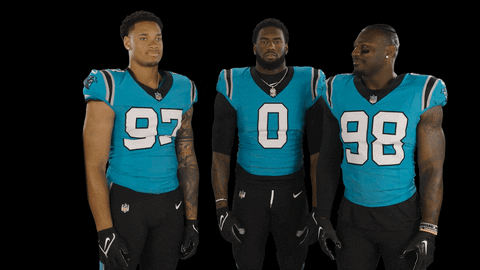 Carolina Panthers Undefined X Undefined Gif GIF