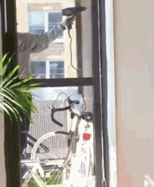 Carpenter Funny Drill And Hammer GIF