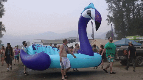 Carry The Duck Floaties GIF