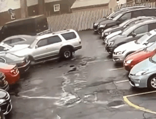 Cars Parked in Lot
