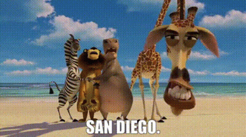 Cartoon Animals on Beach Saying San Diego