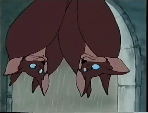 Cartoon,bats,boring,text,link GIF