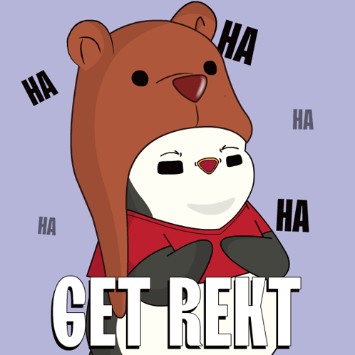 Cartoon Bear Wearing Ha Hat