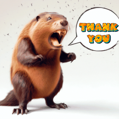 Cartoon Beaver Open Mouth Thank You