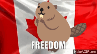 Cartoon Beaver with Canadian Flag and Freedom