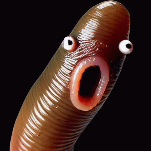 Cartoon Bird Eating Worm