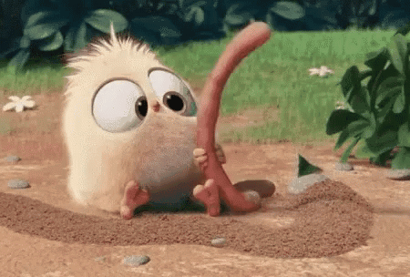 Cartoon Bird Eating Worm