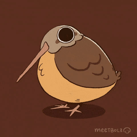 Cartoon Bird With Long Beak Saying Where Is Wife