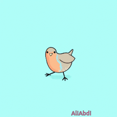 Cartoon Bird With Name Aliabdi