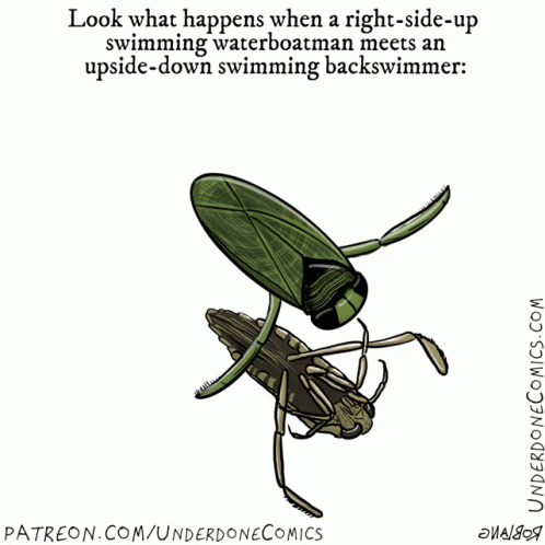 Cartoon Bug Saying Copycat GIF