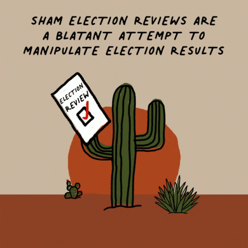 Cartoon Cactus With Election Review GIF