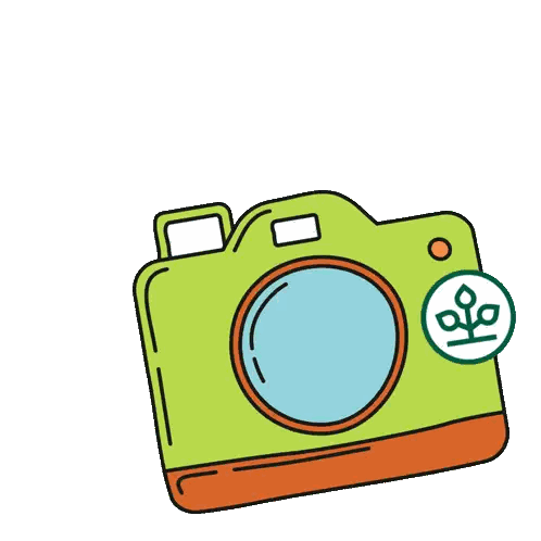 Cartoon Camera With Green OIO Circle