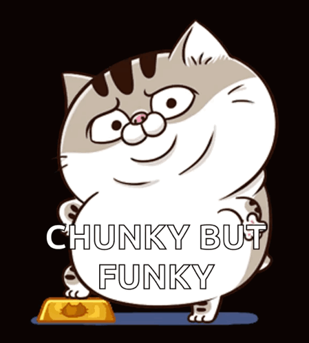 Cartoon Cat Chunky But Funky