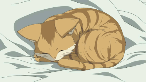 Cartoon Cat Curling Up GIF