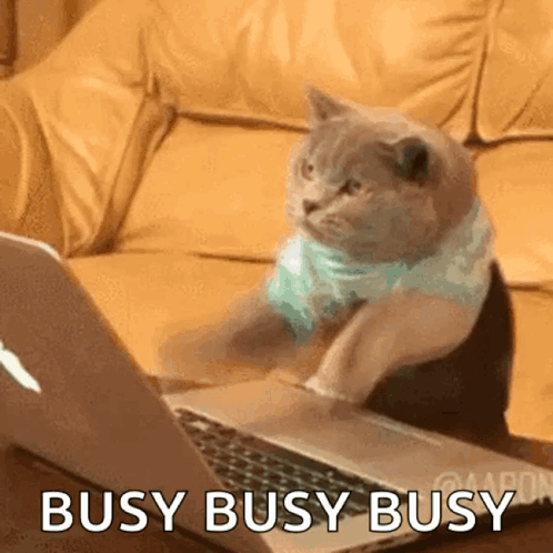 Cartoon Cat Drinking Bubble Tea GIF