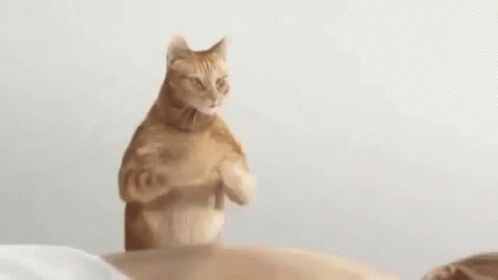 Cartoon Cat Giving Massage with Massage Text