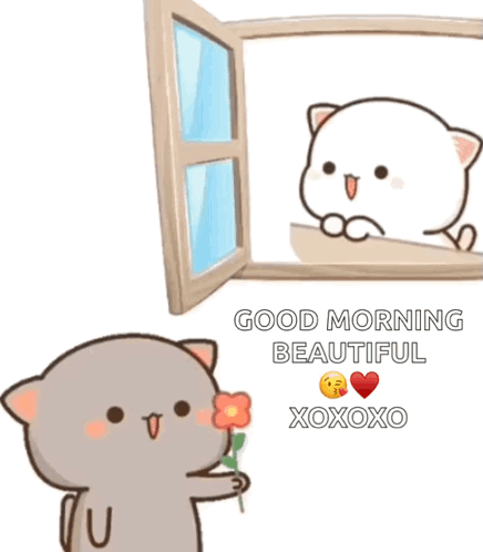 Cartoon Cat Holding Flower Saying Good Morning