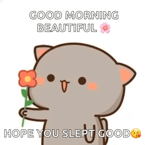 Cartoon Cat Holding Flower Saying Good Morning