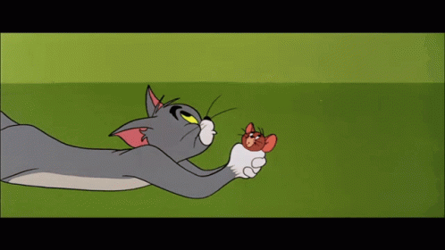 Cartoon Cat Holding Mouse