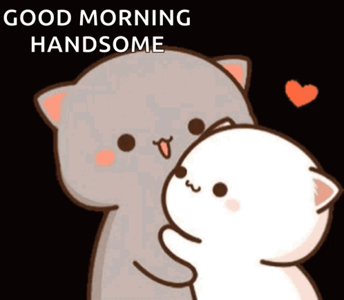 Cartoon Cat Hugging Another Good Morning GIF