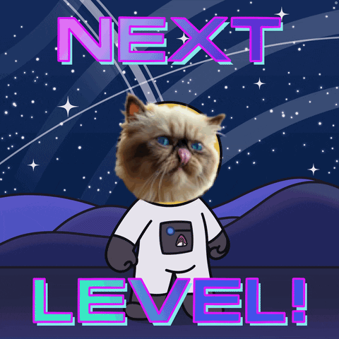 Cartoon Cat In Space Suit Saying Next Level GIF