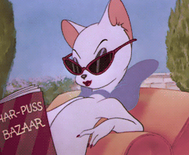 Cartoon Cat in Sunglasses Reading Har-Puss Bazaar