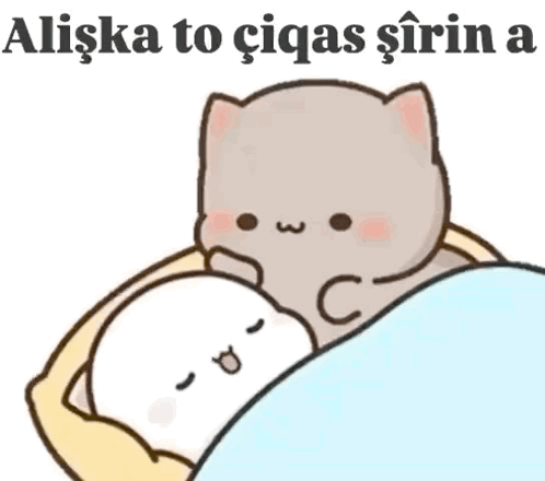 Cartoon Cat Laying on Another Cat Aliska to Ciqas Sirin