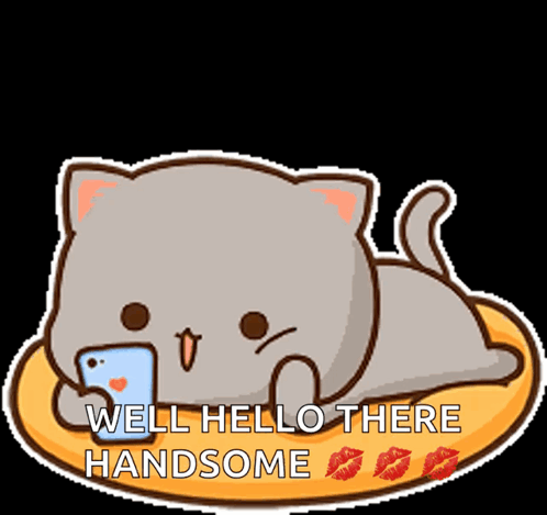 Cartoon Cat Laying on Pillow with Phone Saying Well Hello There Handsome