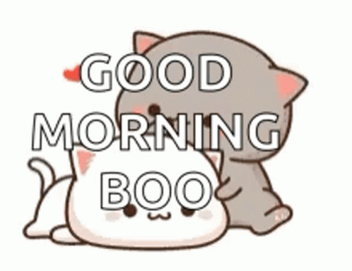 Cartoon Cat Laying On White Cat Saying Good Morning Boo GIF