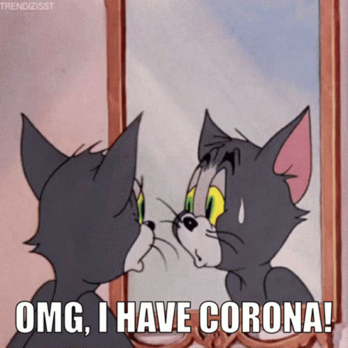 Cartoon Cat Looking In Mirror Says OMG I Have Corona GIF
