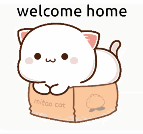 Cartoon Cat Lying In Box Welcome Home GIF