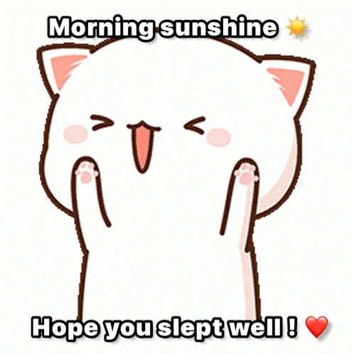 Cartoon Cat Morning Sunshine Hope You Slept Well GIF