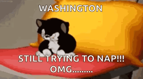 Cartoon Cat on Pillow Saying Washington Still Trying to Nap Omg