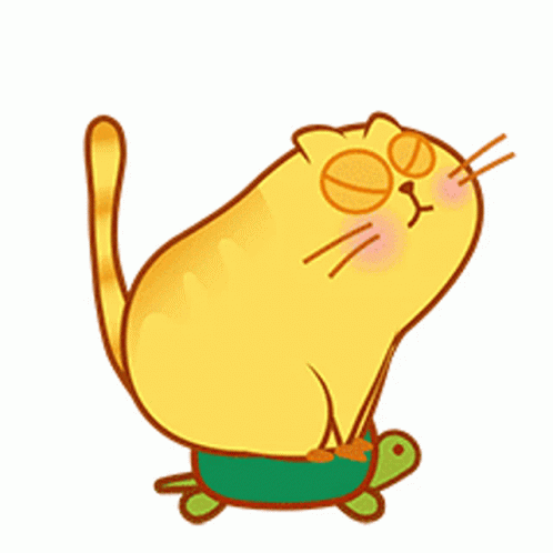 Cartoon Cat On Walking Turtle GIF