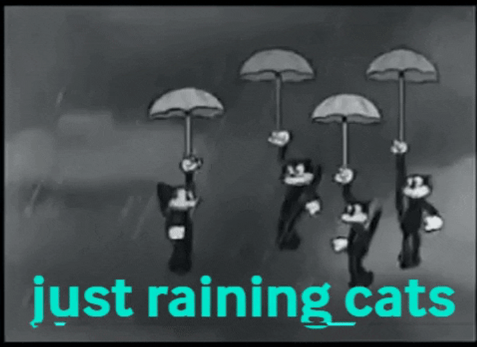 Cartoon Cat Rain GIF