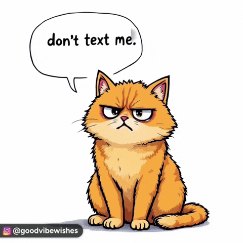 Cartoon Cat Saying Don't Text Me GIF