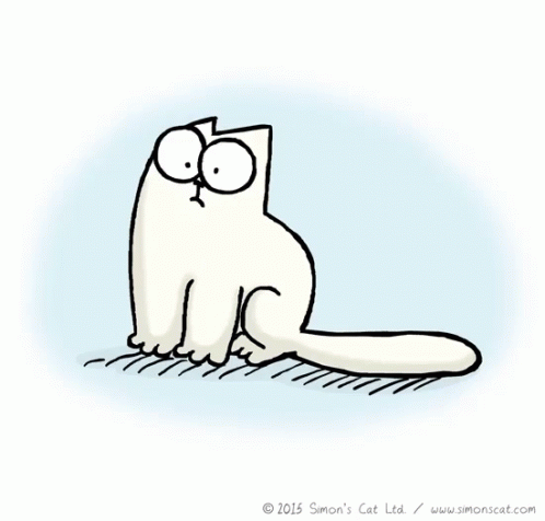 Cartoon Cat Saying Every Day Should Be International Cat Day