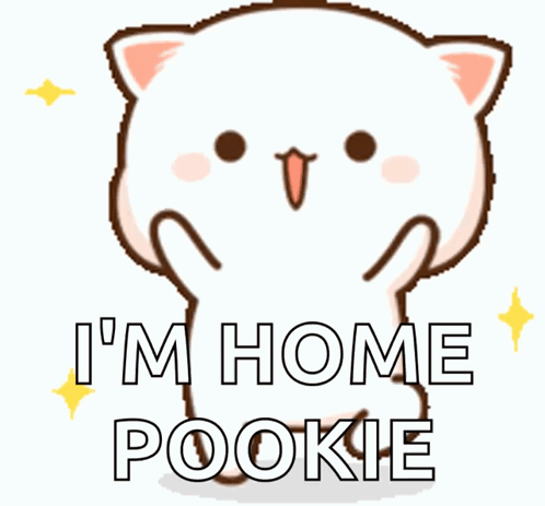 Cartoon Cat Saying I'm Home Pookie