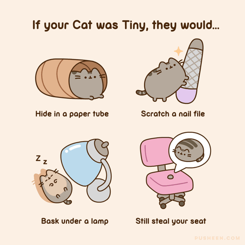 Cartoon Cat Saying If Tiny GIF