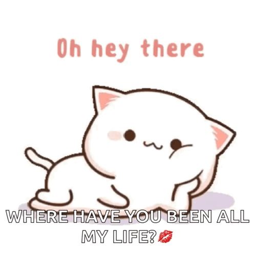 Cartoon Cat Saying Oh Hey There