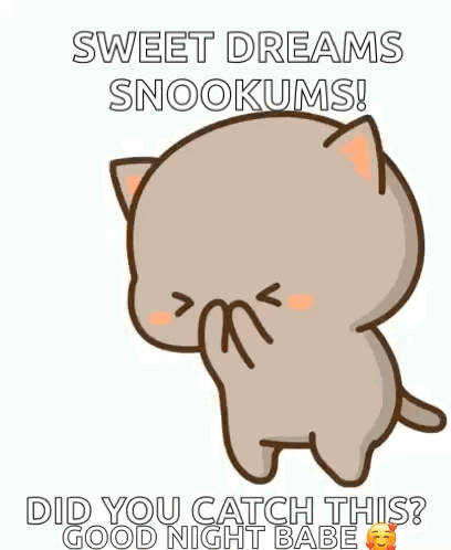 Cartoon Cat Saying Sweet Dreams Snookums