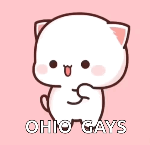 Cartoon Cat Sitting on Pink Background Saying Ohio Gays
