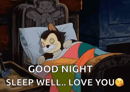 Cartoon Cat Sleeping Good Night Sleep Well Love You