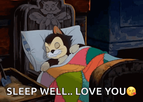 Cartoon Cat Sleeping in Bed Sleep Well Love You