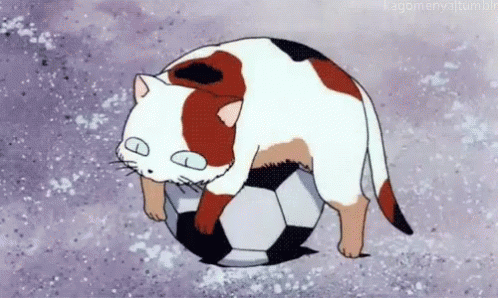 Cartoon Cat Sleeping On Soccer Ball GIF