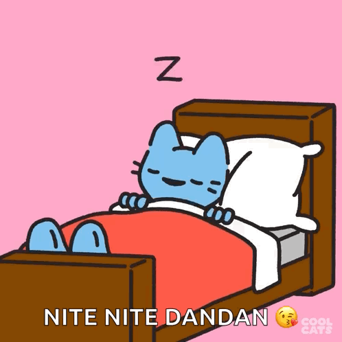 Cartoon Cat Sleeping With Nite Nite Dandan GIF